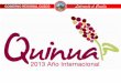 Situación de la Producción Regional de la Quinua en Cusco 