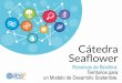 Comportamiento de la economía en Seaflower: retos hacia la 