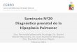 Seminario Nº29 Diagnós2co prenatal de la Hipoplasia Pulmonar