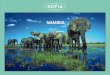 NAMIBIA - Los viajes de Sofía