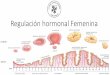 Regulación hormonal Femenina
