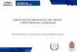 DIRECCION DE PREVENCION DEL DELITO Y PARTICIPACION CIUDADANA