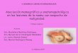 Asociación mamográfica y anatomopatológica en las lesiones 