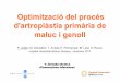 Optimització del procés d'artroplàstia primària de maluc i 
