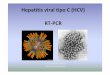 Hepatitis viral tipo C (HCV) RT-PCR - UNNE