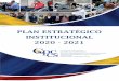 PLAN ESTRATÉGICO INSTITUCIONAL 2020 - 2021
