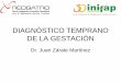 DIAGNÓSTICO DE GESTACIÓN - UNAM