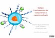 TEMA 1 Fundamentos de nanociencia y nanotecnología