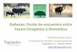 Dehesas: Punto de encuentro entre Fauna ... - Extremadura