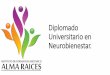 Diplomado Universitario en Neurobienestar. Caracas