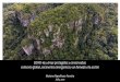 COVID-19 y áreas protegidas y conservadas: contexto global 