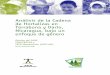 Análisis de la Cadena de Hortalizas en Terrabona y Darío 