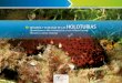 Biología y ecología de las holoturias [Echinodermata 