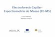 Electroforesis Capilar - Espectrometría de Masas (CE-MS)