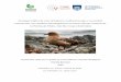 Ecología trófica de aves del género Catharacta spp. y su 
