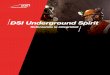 DSI Underground Spirit