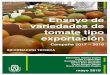 Ensayo de variedades de tomate tipo exportación