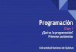 Programación Primeros autómatas ¿Qué es la programación 