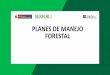 PLANES DE MANEJO FORESTAL - proetica.org.pe