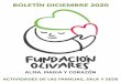 BOLETÍN DICIEMBRE 2020 - Fundación Olivares