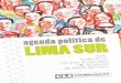 LIMA SUR - El Programa Urbano de desco