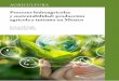 Procesos hidroagrícolas y sustentabilidad: producción 
