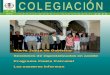 COLEGIACIÓN - Colegio Oficial de Agentes Comerciales de 