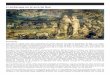 PDF - El embarque en el arca de Noé | Patrimonio Nacional