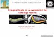 Imagenología en la evaluación del cartílago hialino