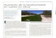 Aumento de la biodiversidad en suelos en olivar