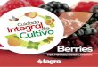 Cultivo Berries Fresa, Frambuesa, Arándano, Zarzamora +fagro