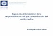 Regulación internacional de la responsabilidad civil por 