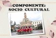 COMPONENTE: SOCIO CULTURAL