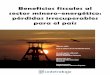 Beneficios fiscales al sector minero-energético: pérdidas 
