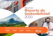 Resumen Reporte de Sostenibilidad 2020