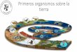 Primeros organismos sobre la tierra - Colegio Santo Domingo