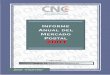 Informe Anual Mercado Postal 2000 - Ente Nacional de 