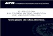 GUÍA PARA LA TAREA INTEGRADORA DE MECATRÓNICA Colegiado de 