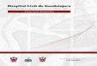 Informe de Logros y Avances 2010 - 2012 Historia de Vanguardia