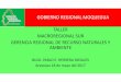 GOBIERNO REGIONAL MOQUEGUA TALLER MACROREGIONAL …