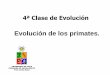 4ª Clase de Evolución - U-Cursos