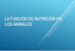 LA FUNCIÓN DE NUTRICIÓN EN LOS ANIMAALES
