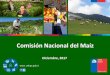 Comisión Nacional del Maíz - ODEPA | Oficina de Estudios 