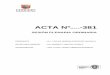 ACTA Nº -381