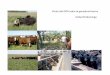 Visión del INTA sobre la ganadería bovina Anibal Pordomingo