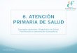 6. ATENCIÓN PRIMARIA DE SALUD