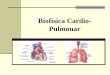 Biofísica Cardio- Pulmonar