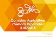 Comisión Agricultura Cámara Diputados 21072015