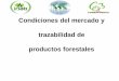 Condiciones del mercado y trazabilidad de productos forestales