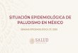 SITUACIÓN EPIDEMIOLÓGICA DE PALUDISMO EN MÉXICO
